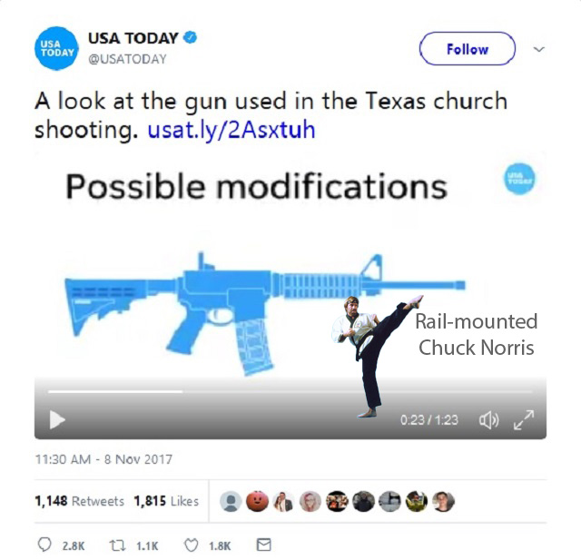 AR-15-Chuck-Norris.jpg