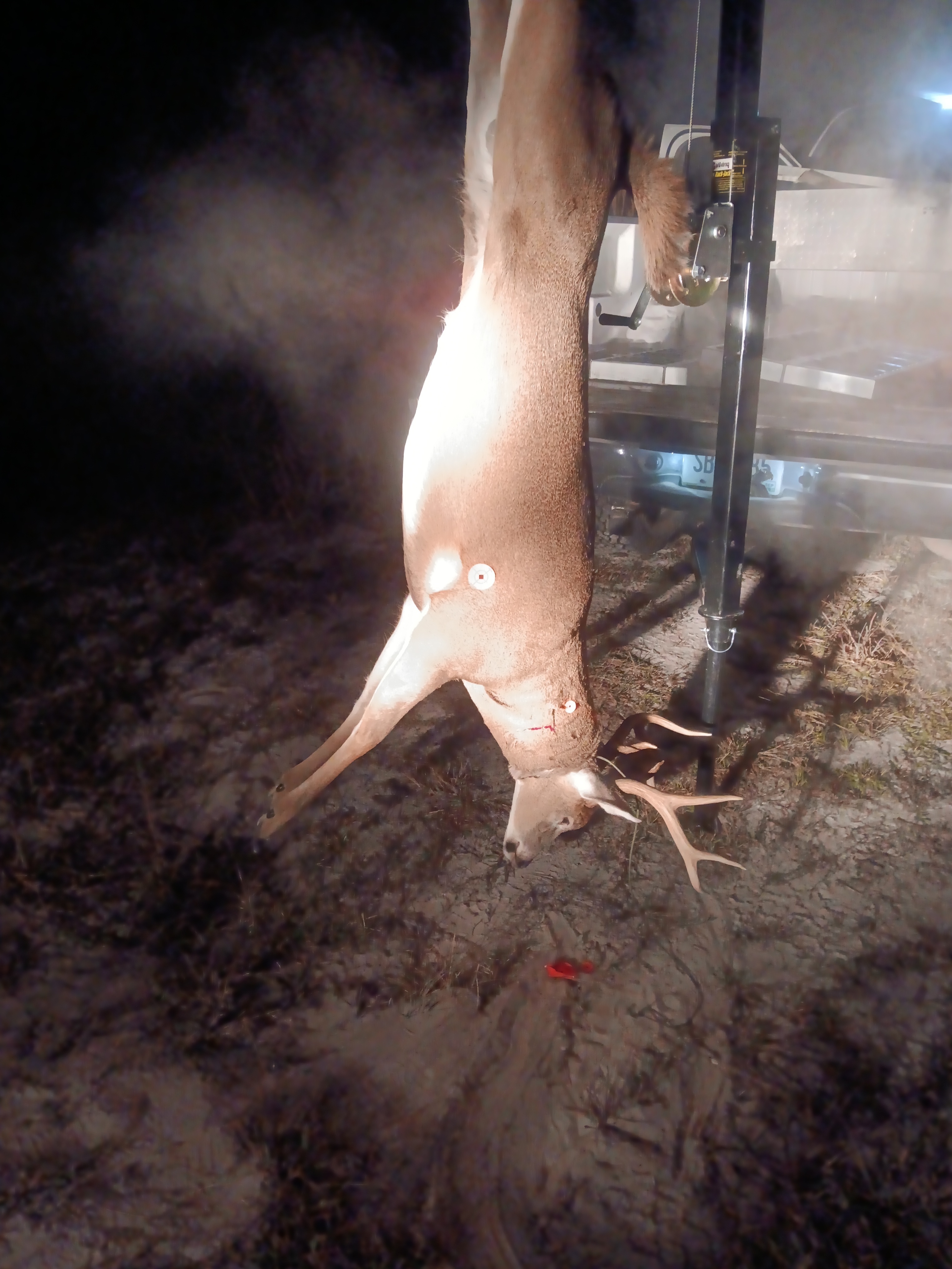 c7d49e1b-8056-4092-9fa0-5af6ef70e2ca (1).jpg