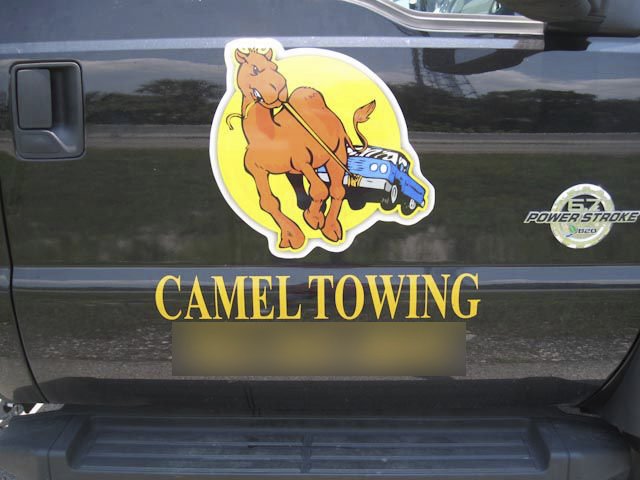 camel towing.jpg