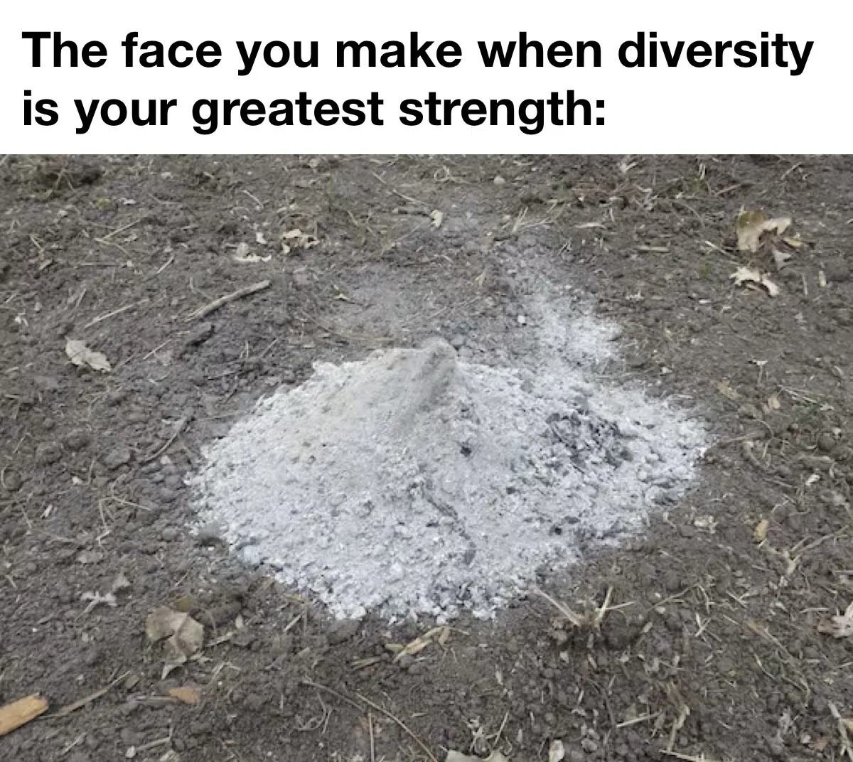 d864f5adbba1ecb664141b3862126ab5.jpeg