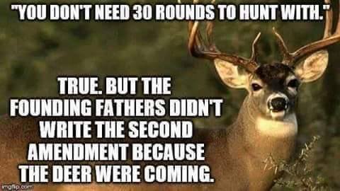 don't need 30 rounds deer.jpg