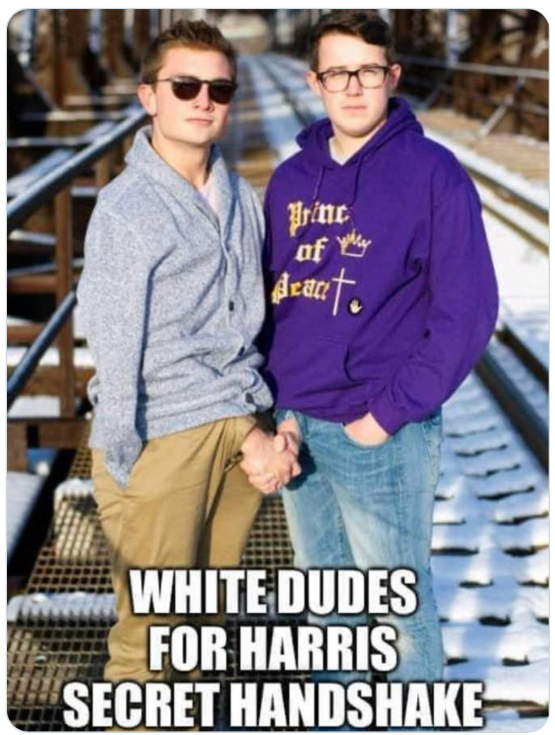 e2a8c70aaba9d3cd.jpeg