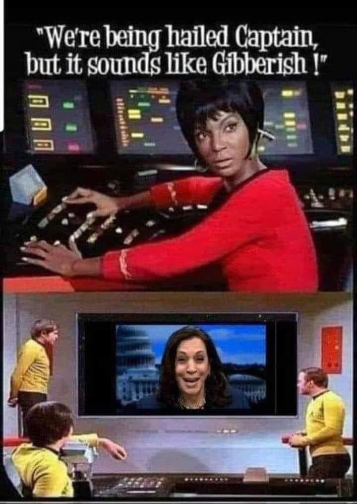 FB_IMG_1723632362352.jpg