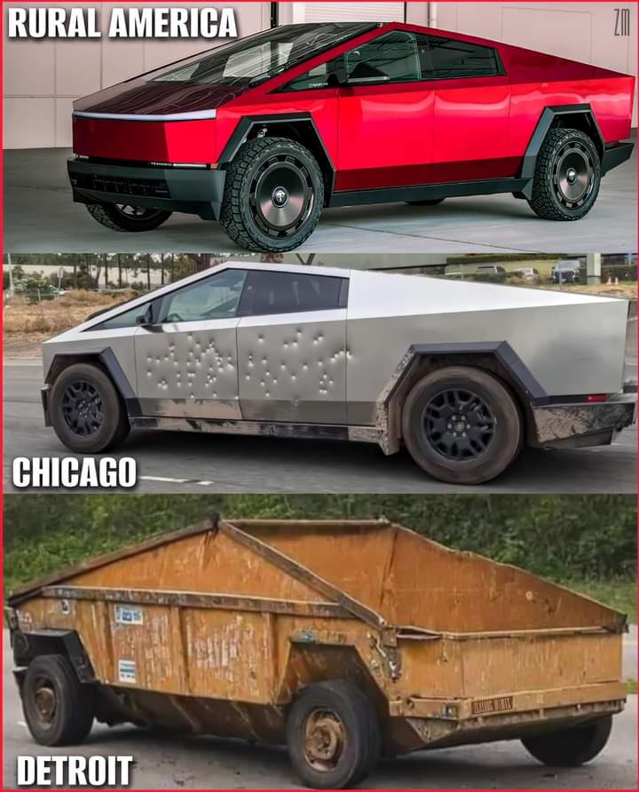 FB_IMG_1724456907181.jpg