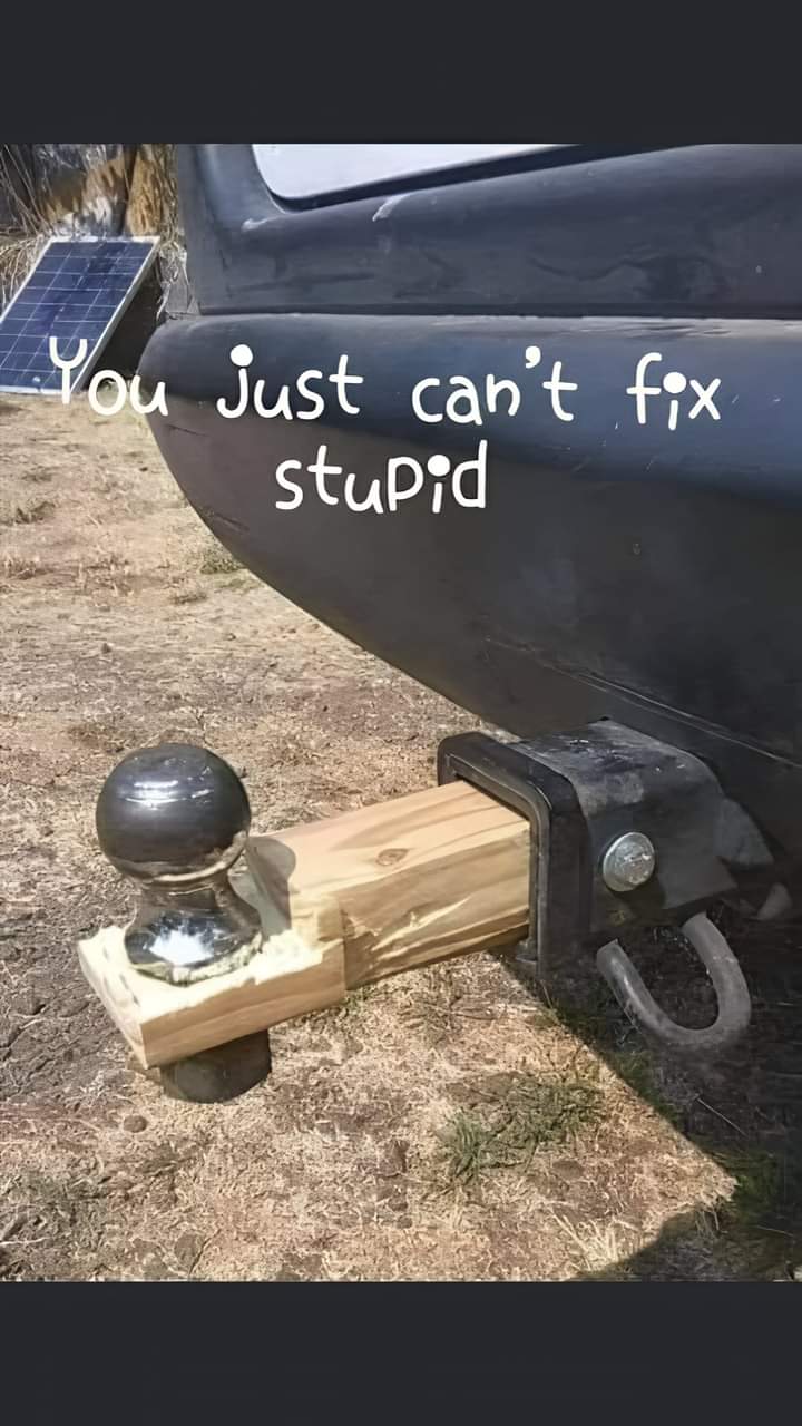 FB_IMG_1724460371272.jpg