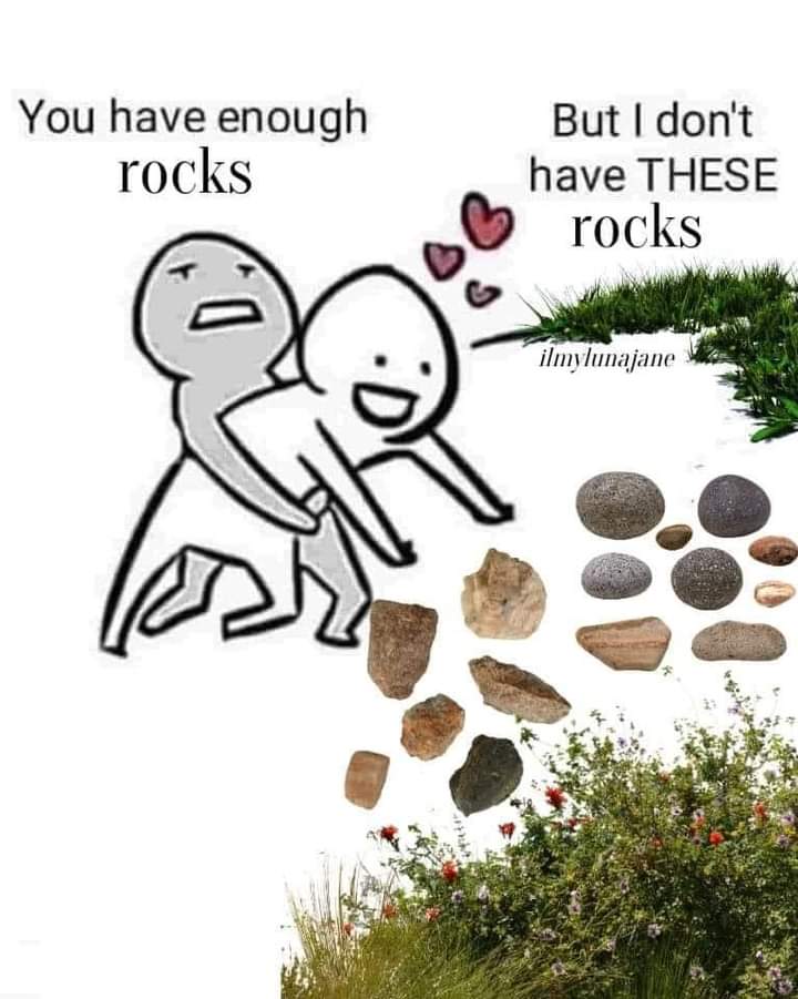 FB_IMG_1724508258133.jpg