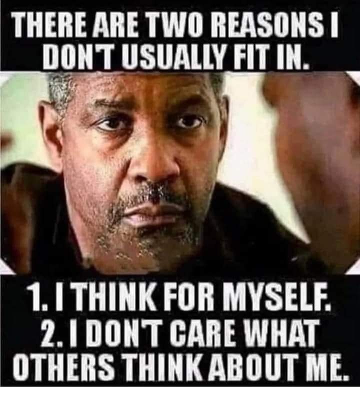 FB_IMG_1724543548478.jpg