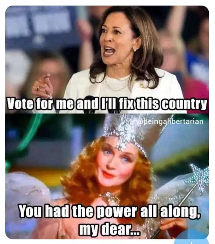 FB_IMG_1725102371318.jpg