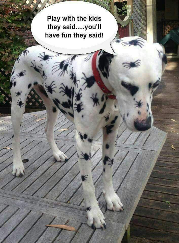 FB_IMG_1726251558715.jpg