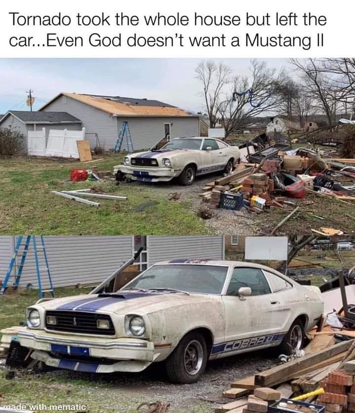 FB_IMG_1728367516718.jpg