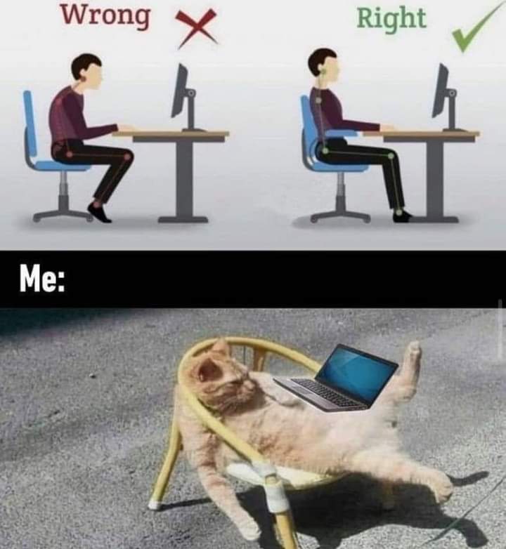 FB_IMG_1728930877362.jpg