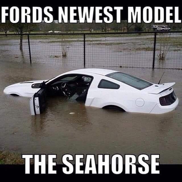 FB_IMG_1734840075068.jpg