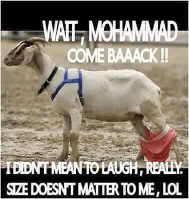 goat.jpg.8e505c819c39bdabc4a5c7727e287312.jpg