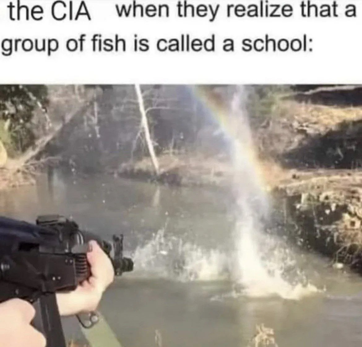 hhhhhfjgh.jpg
