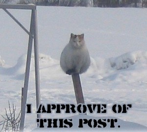 I approve this post.jpg