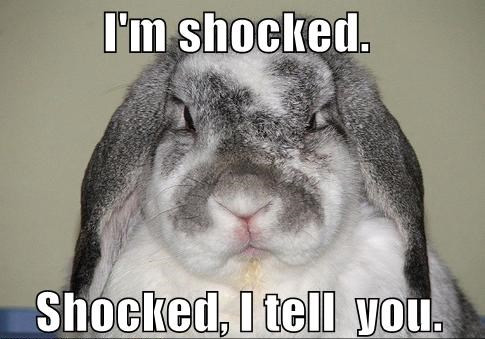 I'm-shocked.jpg