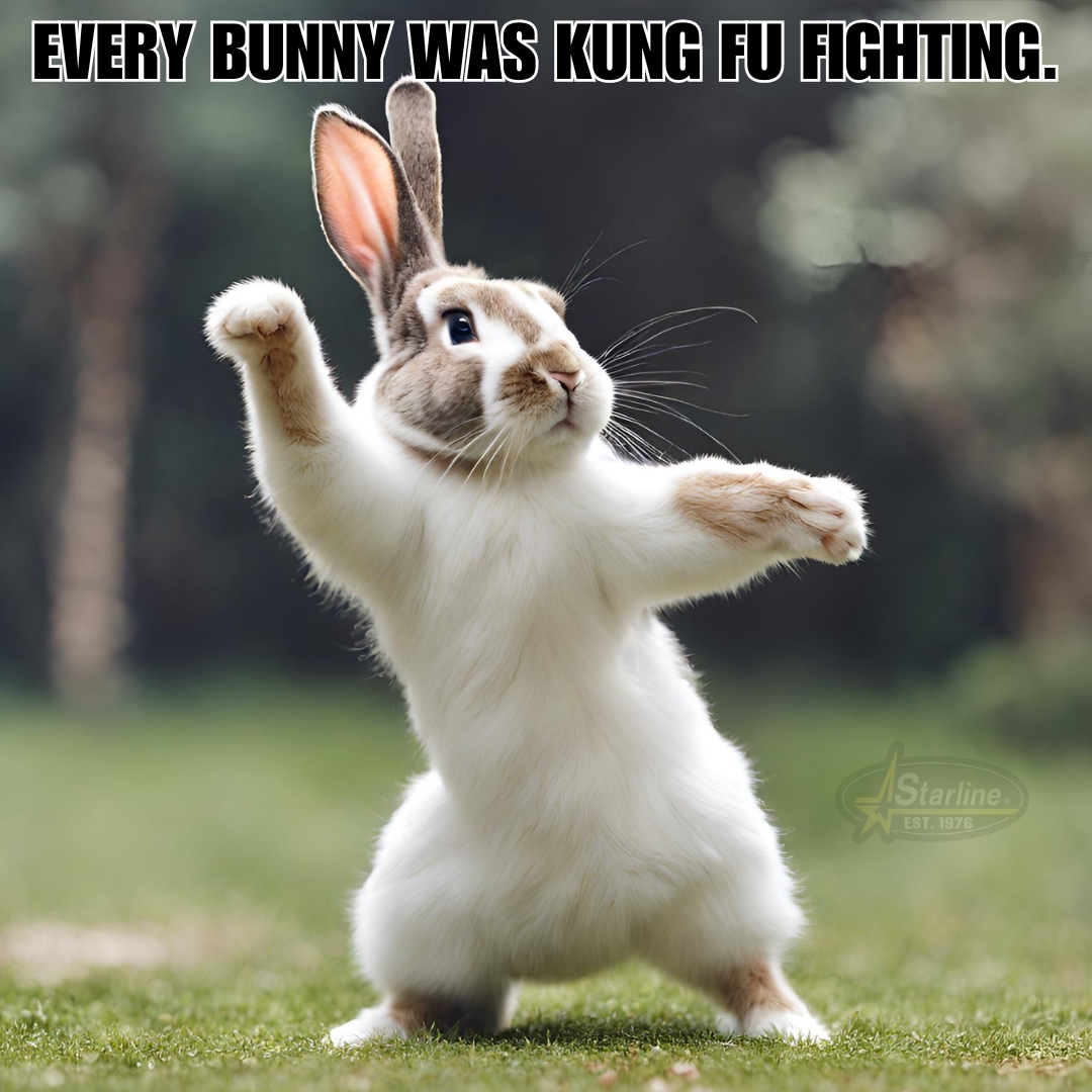 KungFu.jpg