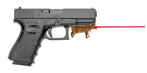 Laser-cat-sight.jpg
