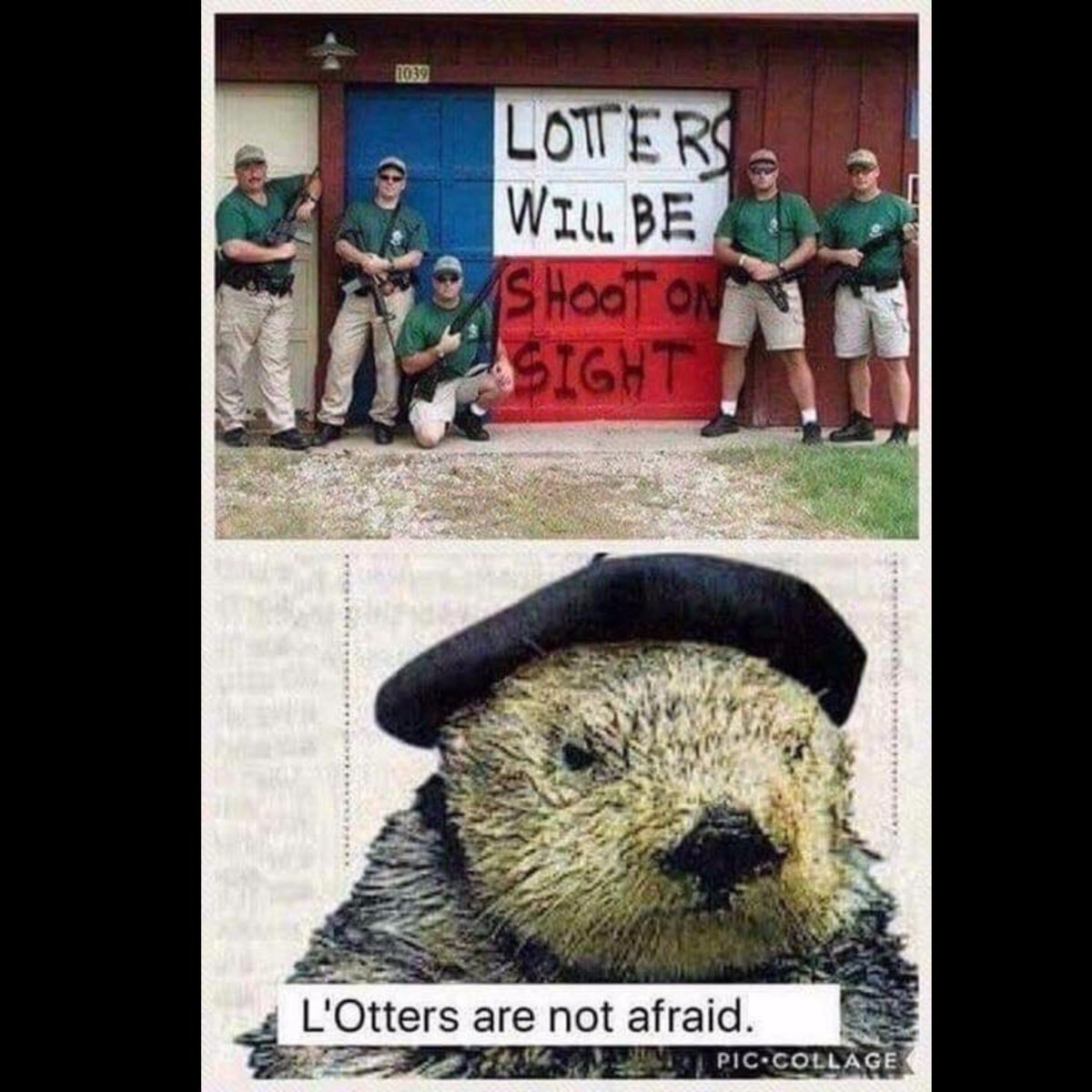 l'otters will be shot not afraid.jpg