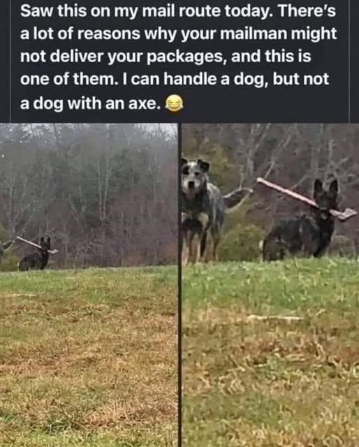 MailDelay.jpg