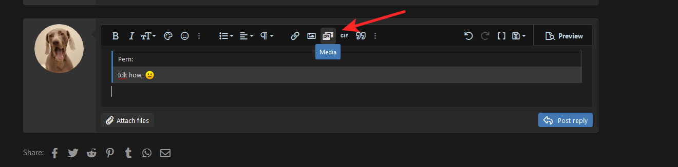 media_image_insert.jpg