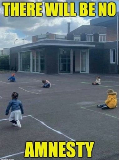 No Amnesty.jpg