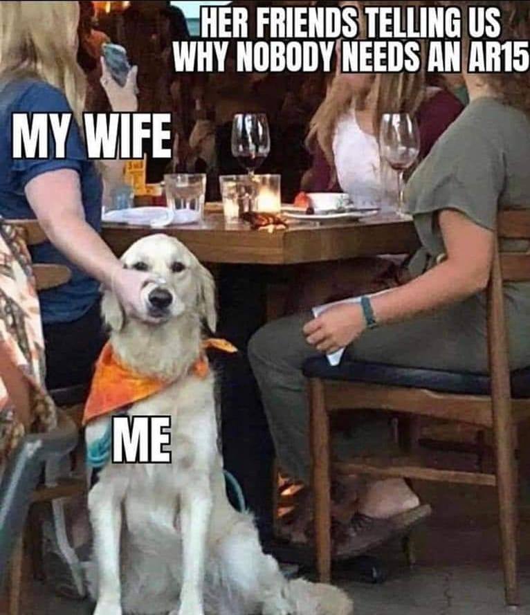 nobody neds an ar-15 wife holding me dog's mouth.jpg