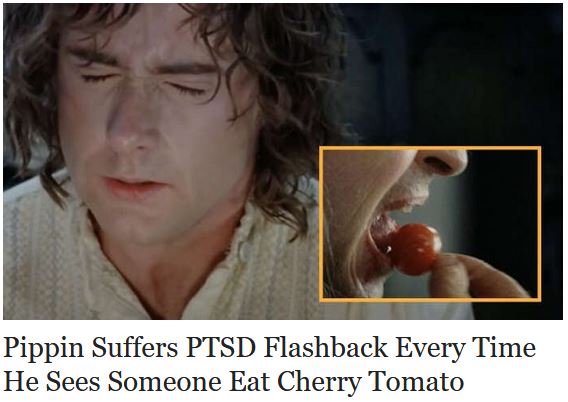 pipflash.JPG
