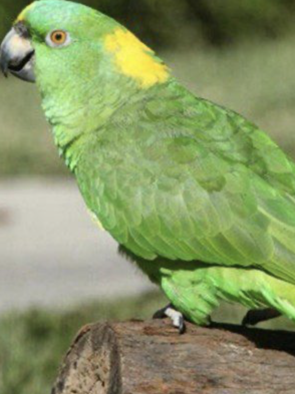 Screenshot 2024-09-17 at 1.51.54 PM.png