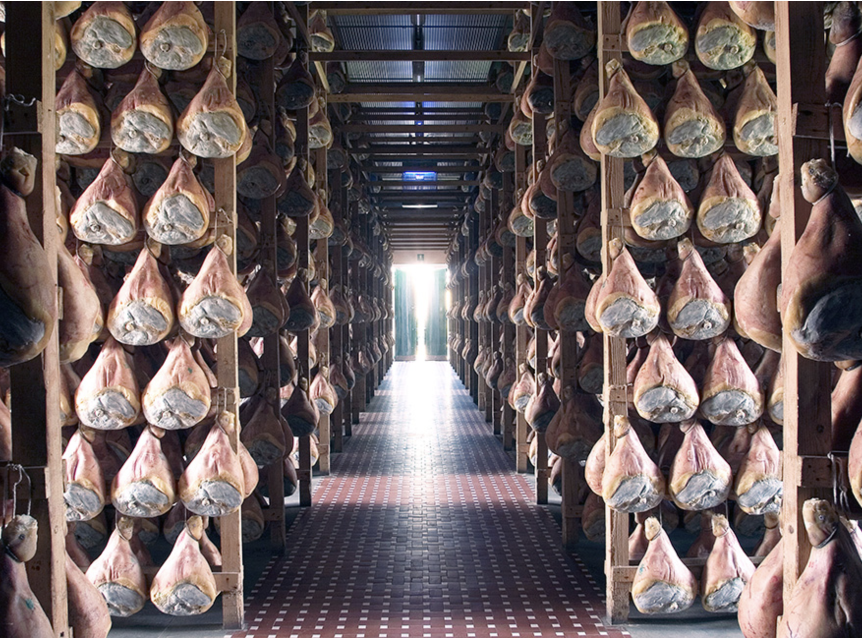 Screenshot 2024-10-19 at 1.00.33 PM.png