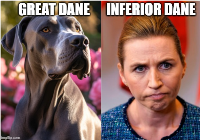 Screenshot 2025-01-24 181449.png