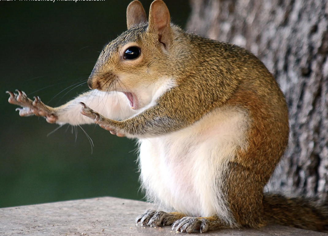 Screenshot 2025-05-18 at 2.23.46 PM.png