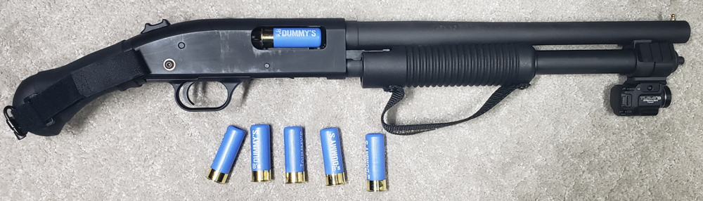 Shockwave-&-B's-Dummies.jpg