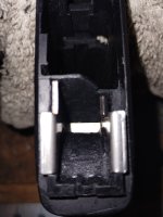 IMG_20230319_074115303.jpg