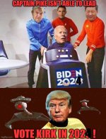 bidenpike2.jpg
