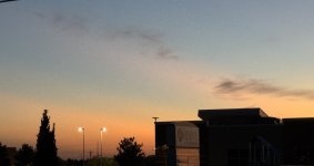 IMG_7279.jpeg
