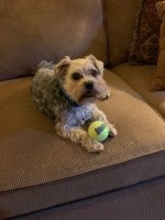 IMG_7762.jpeg