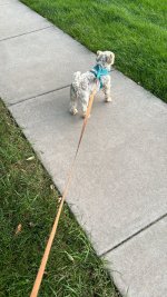 IMG_6282.jpeg