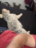 IMG_7347.jpeg