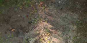 2graves.jpg 2graves.jpg