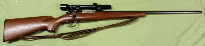 k981.jpg