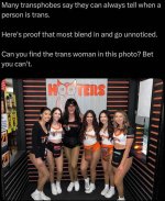 transooters.jpg
