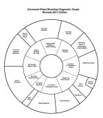 advance-pistol-shooting-diagnostic-test-900x1028.jpg