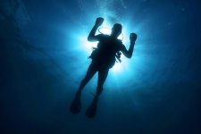 diver.jpg