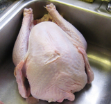 Screenshot 2025-04-13 at 7.53.57 PM.png