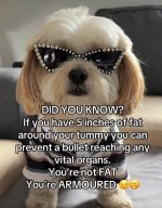 armorfat.JPG