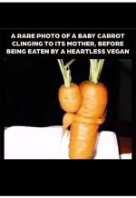 babycarrot.jpeg