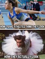 howtheylook.jpg