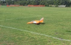 fly2.jpg