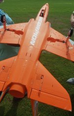 fly3.jpg